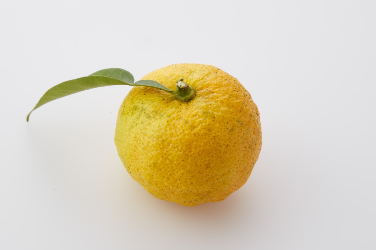 季節のおいしい縁起物。ゆずと金箔の新商品を発売。